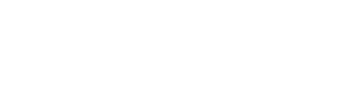 Diana Tellez Logo